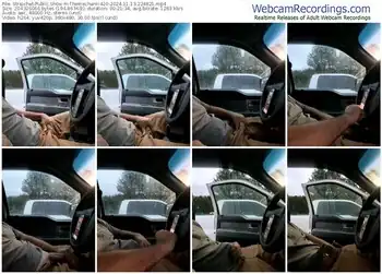 stripchat-themechanic420-11-13-2024-22-48-21