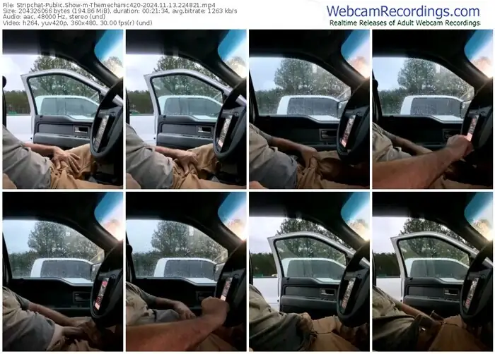 stripchat-themechanic420-11-13-2024-22-48-21