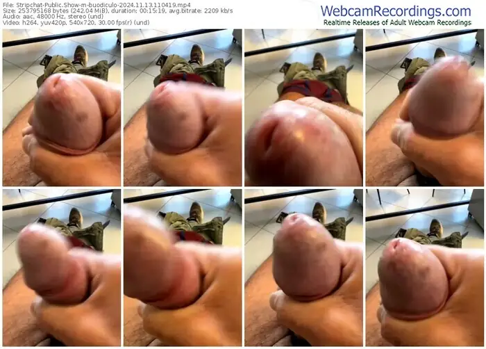 stripchat-buodiculo-11-13-2024-11-04-19