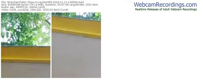 stripchat-rayhan085-11-13-2024-10-49-09