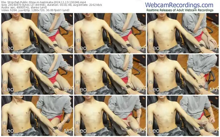 stripchat-teelimata-11-13-2024-13-02-46