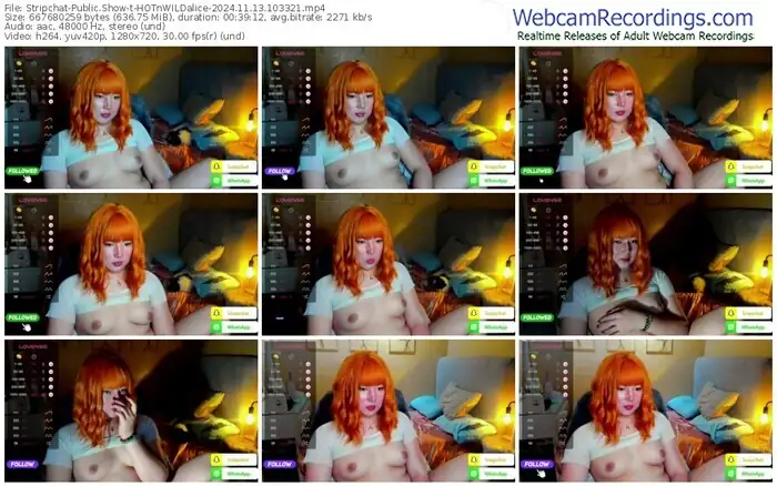 stripchat-hotnwildalice-11-13-2024-10-33-21
