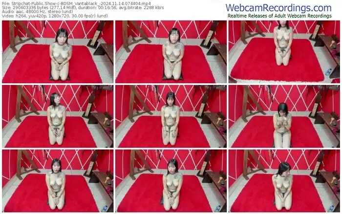 stripchat-bdsm_vantablack_-11-14-2024-07-44-04