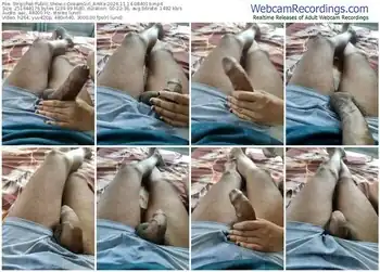 stripchat-dreamgirl_anika-11-14-2024-08-40-19