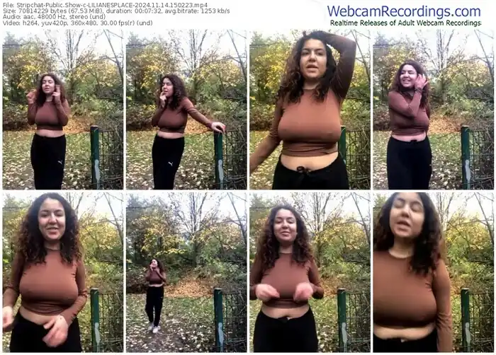 stripchat-lilianesplace-11-14-2024-15-02-23