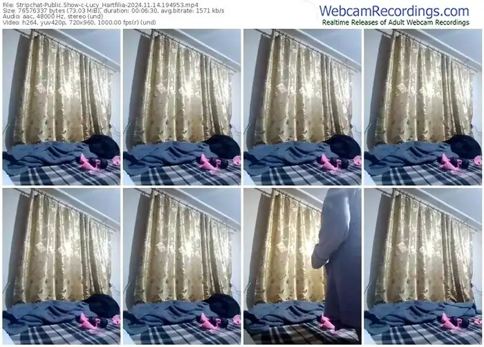 stripchat-lucy_hartfilia-11-14-2024-19-49-53