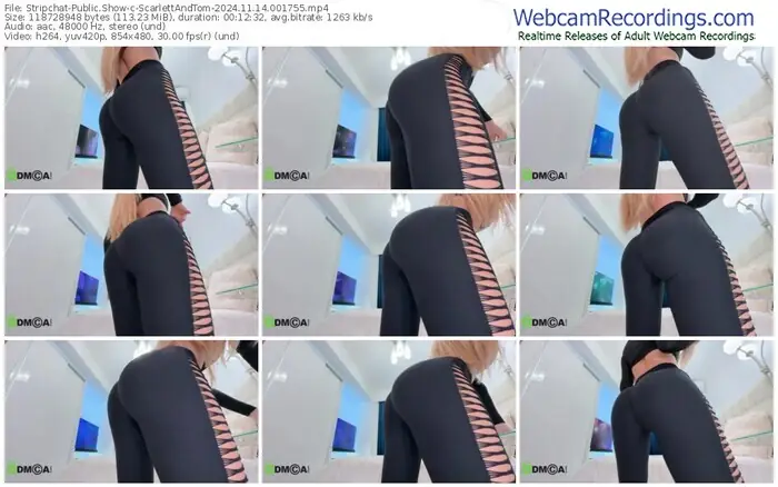 stripchat-scarlettandtom-11-14-2024-00-17-55