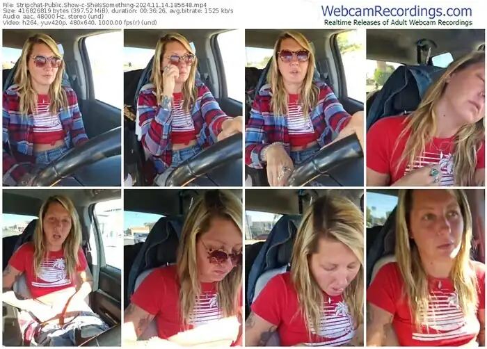 stripchat-sheissomething-11-14-2024-18-56-48