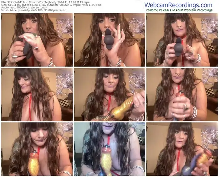 stripchat-xoxobigbooty-11-14-2024-01-21-43