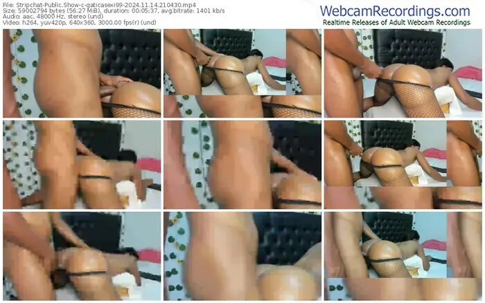 stripchat-gaticasexi99-11-14-2024-21-04-30