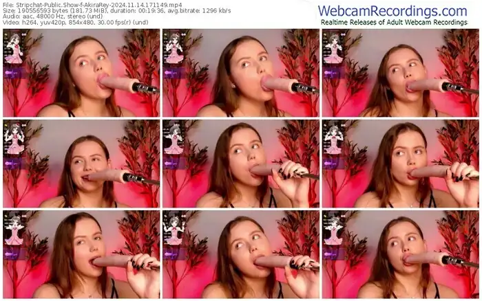 stripchat-akirarey-11-14-2024-17-11-49