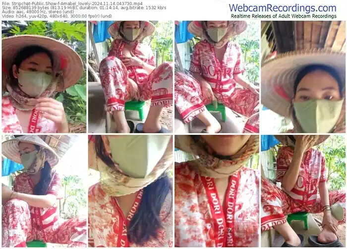 stripchat-amabel_lovely-11-14-2024-04-37-30