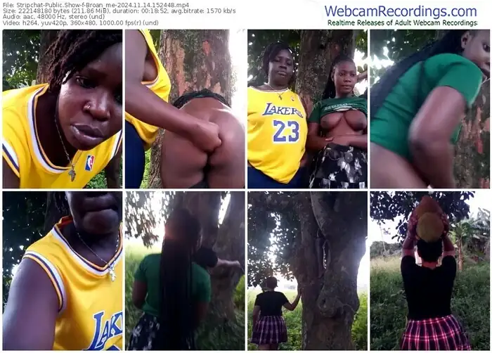 stripchat-broan_me-11-14-2024-15-24-48