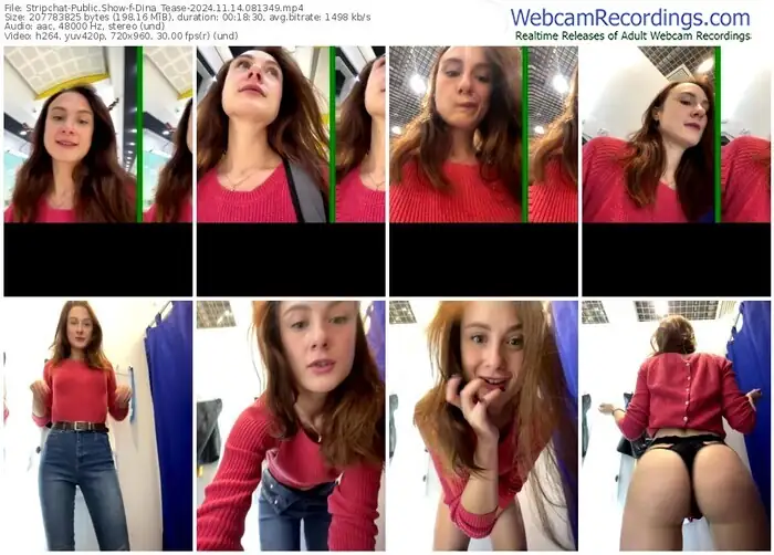 stripchat-dina_tease-11-14-2024-08-13-49