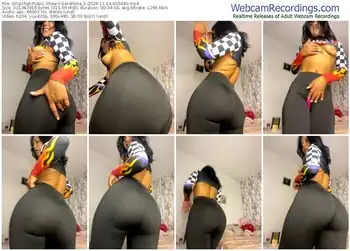 stripchat-gerallima_1-11-14-2024-00-54-40