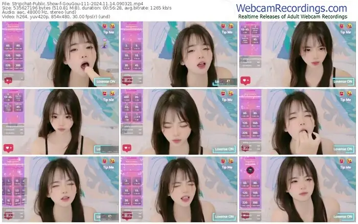 stripchat-gougou-111-11-14-2024-09-03-21