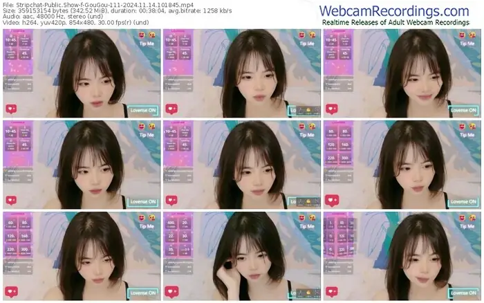 stripchat-gougou-111-11-14-2024-10-18-45