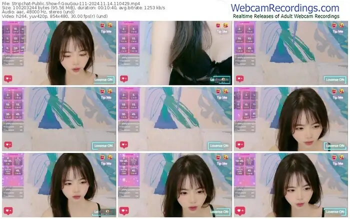 stripchat-gougou-111-11-14-2024-11-04-29