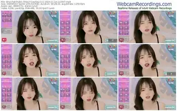 stripchat-gougou-111-11-14-2024-11-33-07