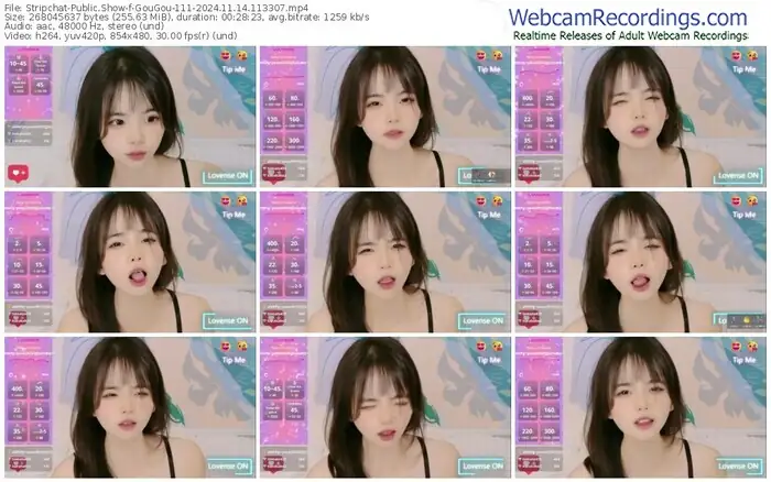 stripchat-gougou-111-11-14-2024-11-33-07