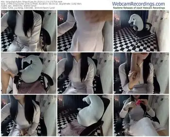 stripchat-lee_mi-11-14-2024-17-47-59