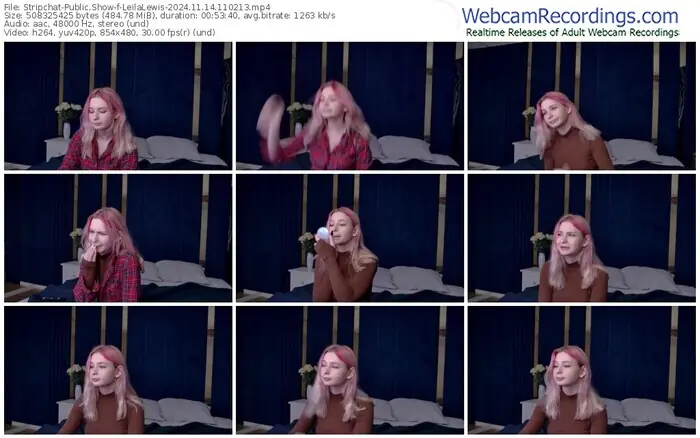 stripchat-leilalewis-11-14-2024-11-02-13