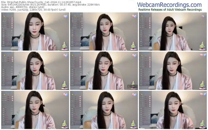 stripchat-lucky_cat--11-14-2024-06-18-57