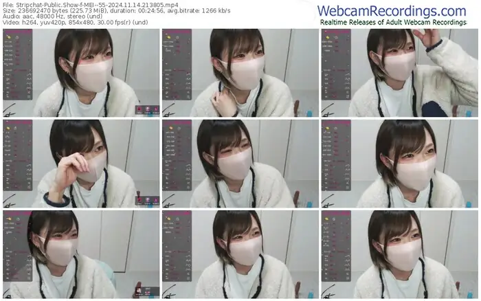 stripchat-mei--55-11-14-2024-21-38-05