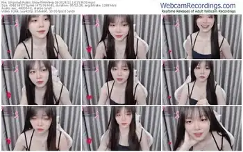 stripchat-minhha-18-11-14-2024-15-36-39