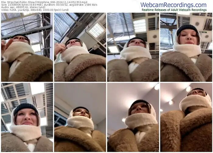 stripchat-morphine_666-11-14-2024-05-13-53