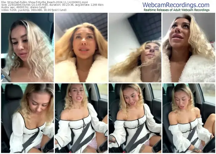 stripchat-myrtle_beach-11-14-2024-09-06-01