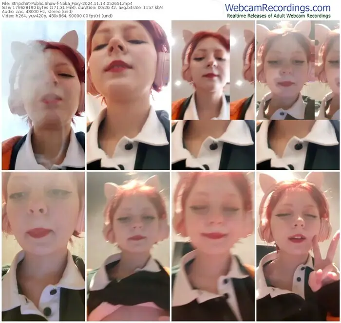 stripchat-noka_foxy-11-14-2024-05-26-51