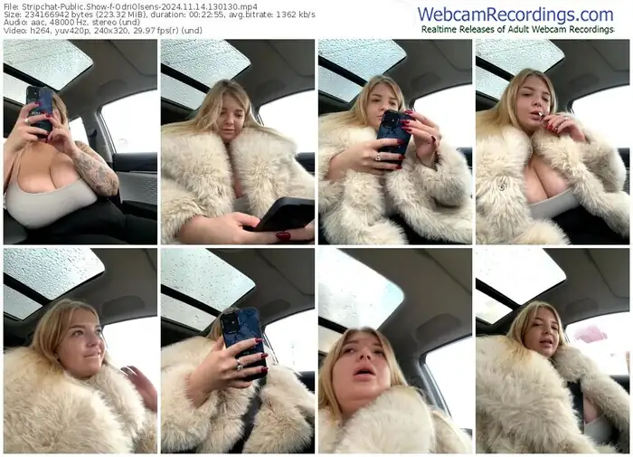 stripchat-odriolsens-11-14-2024-13-01-30