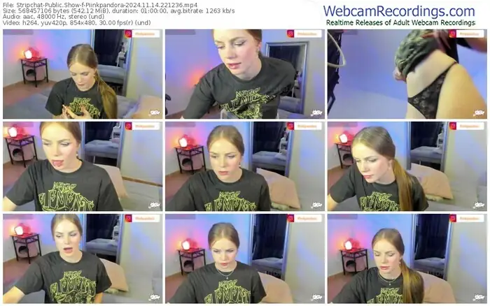 stripchat-piinkpandora-11-14-2024-22-12-36