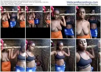 stripchat-swit_virgin22-11-14-2024-12-56-10