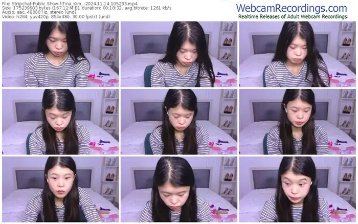 stripchat-tina_kim_-11-14-2024-10-52-33
