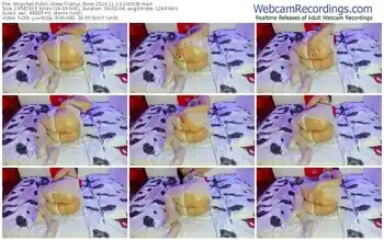 stripchat-venus_r0se-11-14-2024-10-04-36