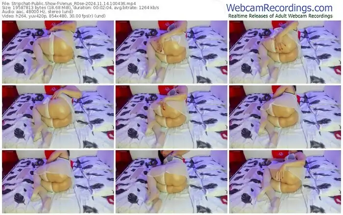stripchat-venus_r0se-11-14-2024-10-04-36