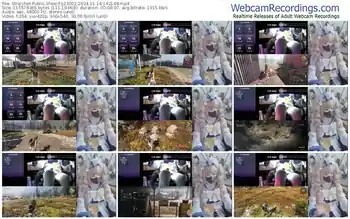 stripchat-z23002-11-14-2024-14-21-48