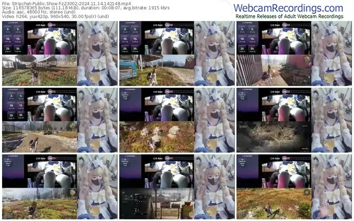 stripchat-z23002-11-14-2024-14-21-48