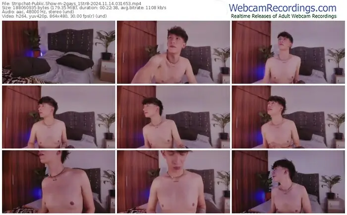 stripchat-2gays_1str8-11-14-2024-03-16-53