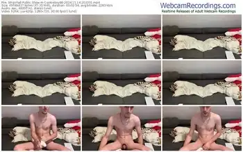 stripchat-cookieboy88-11-14-2024-20-33-31