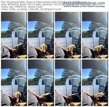 stripchat-themechanic420-11-14-2024-15-35-14