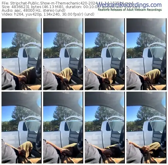 stripchat-themechanic420-11-14-2024-15-35-14