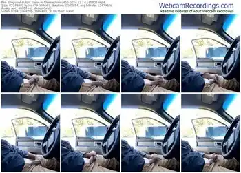 stripchat-themechanic420-11-14-2024-18-58-26