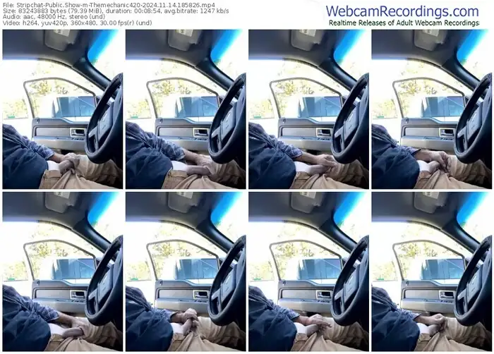 stripchat-themechanic420-11-14-2024-18-58-26