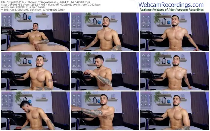 stripchat-thiagomeneses_-11-14-2024-04-25-09