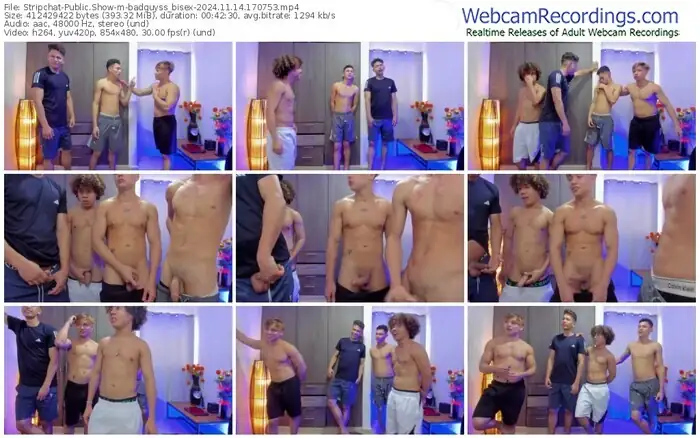 stripchat-badguyss_bisex-11-14-2024-17-07-53