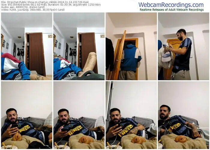 stripchat-charlye_inkkkk-11-14-2024-22-17-29