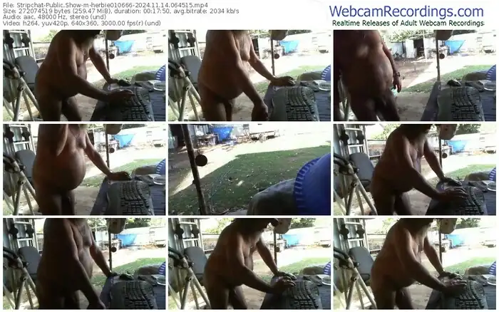 stripchat-herbie010666-11-14-2024-06-45-15